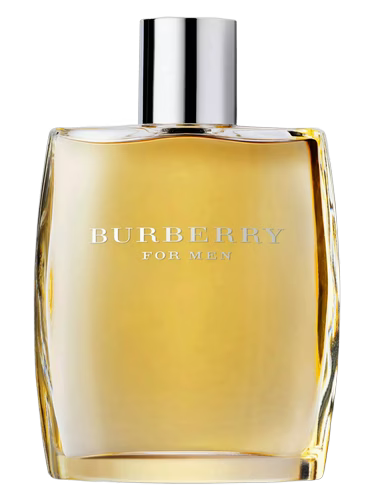 Burberry for MEN EDT MENS 100mL (3.4FL OZ)