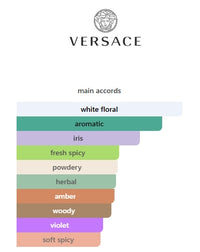 Versace The Dreamer for MEN EDT 100mL 3.4FL OZ TESTER